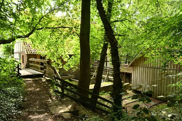 Plaggen-Mühle Döhren