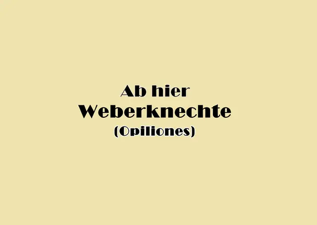 Foto: GvMeegen
