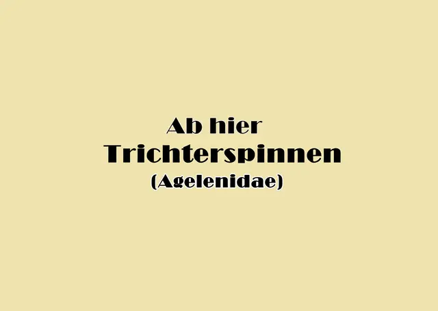 Foto: GvMeegen
