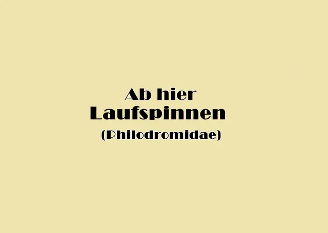 Foto: GvMeegen