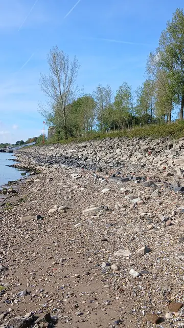 Felsige, bzw. steinige Ufer am Rhein bei Wesel.  | Foto: Siegmund Walter, 02.10.2026, 15:35 Uhr