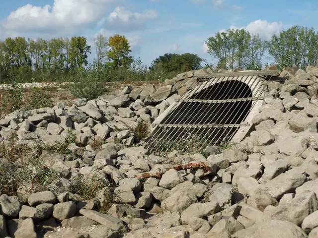 Freigelegt durch Niedrigwasser: Der geschützte Rohrdurchlass im Rees'schen Rheinbett bei Kilometer 838 | Foto: Siegmund Walter, 03.10.2026, 15:24 Uhr