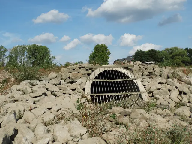 Freigelegt durch Niedrigwasser: Der geschützte Rohrdurchlass im Rees'schen Rheinbett bei Kilometer 838 | Foto: Siegmund Walter, 03.10.2026, 15:25 Uhr