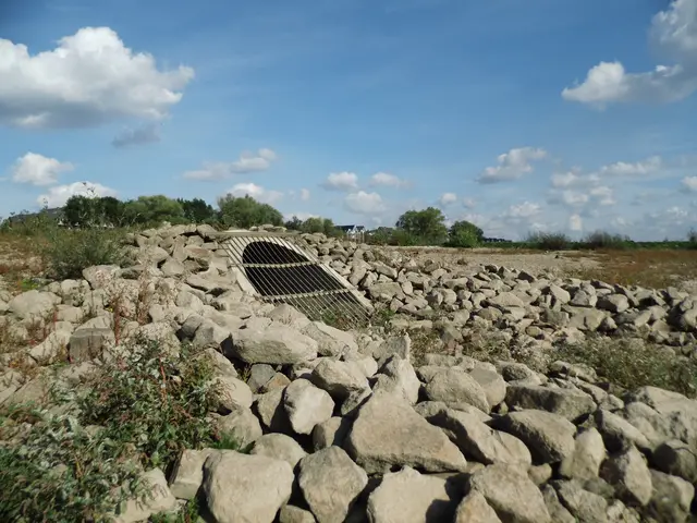 Freigelegt durch Niedrigwasser: Der geschützte Rohrdurchlass im Rees'schen Rheinbett bei Kilometer 838 | Foto: Siegmund Walter, 03.10.2026, 15:25 Uhr