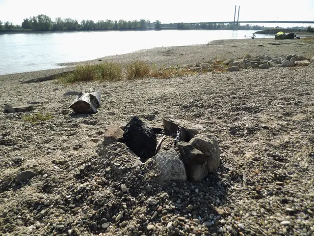 Rheinstrand in Rees bei Rheinkilometer 838.
Im Bildhintergrund rechts, die Rheinbrücke Rees-Kalkar | Foto: Siegmund Walter, 03.10.2026, 15:23 Uhr