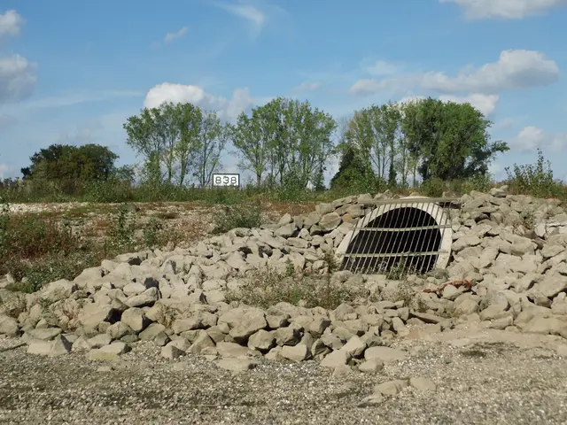 Freigelegt durch Niedrigwasser: Der geschützte Rohrdurchlass im Rees'schen Rheinbett bei Kilometer 838 | Foto: Siegmund Walter, 03.10.2026, 15:27 Uhr