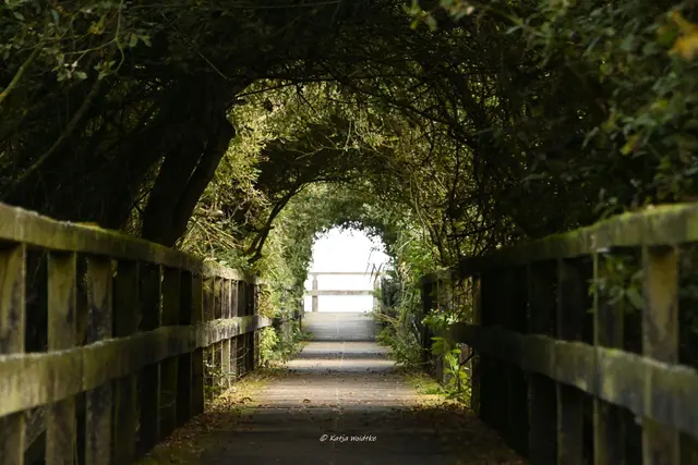 Wunderschönes Niedersachsen (Foto: Katja Woidtke)

Naturerlebnisse am Steinhuder Meer - Meerbruchswiesen und mehr Meer

Licht am Ende des Tunnels | Foto: Katja Woidtke