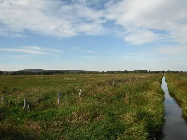 Wunderschönes Niedersachsen (Foto: Katja Woidtke)

Naturerlebnisse am Steinhuder Meer - Meerbruchswiesen und mehr Meer | Foto: Katja Woidtke
