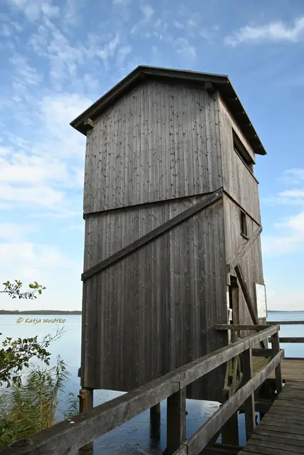 Wunderschönes Niedersachsen (Foto: Katja Woidtke)

Naturerlebnisse am Steinhuder Meer - Meerbruchswiesen und mehr Meer | Foto: Katja Woidtke