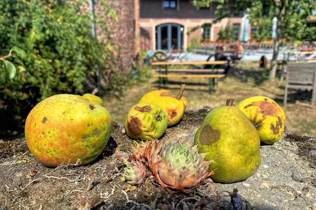 Foto: copyright Margot Klütsch