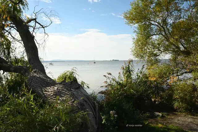 Wunderschönes Niedersachsen (Foto: Katja Woidtke)

Naturerlebnisse am Steinhuder Meer - Meerbruchswiesen und mehr Meer | Foto: Katja Woidtke