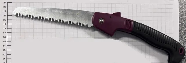 Reinigungskraft rassistisch beleidigt - Bundespolizei findet ausklappbare Handsäge bei 65-Jährigem | Foto: Bundespolizeidirektion Sankt Augustin