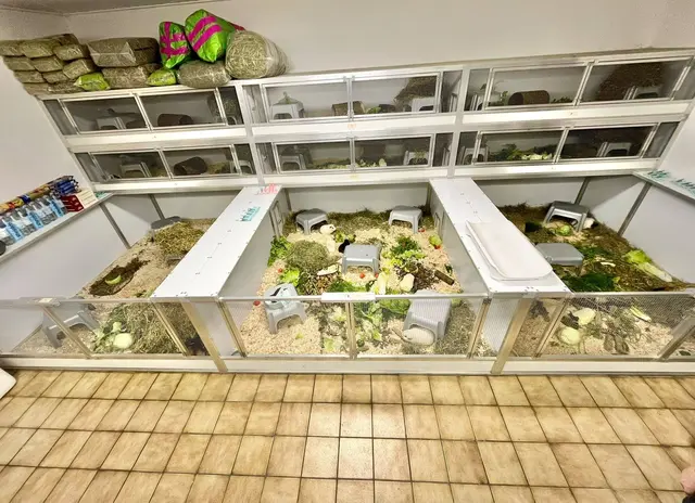 Unterkunft der beherbergten Fellnasen