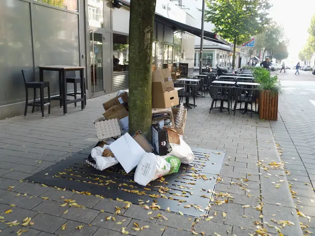 Ordnungswidrig abgelegte Kartonagen vor dem Oliv Café / Bistro in der Kreuzstraße in Wesel.
Sachstand: Montag 05.10.2026, 11:07 Uhr
Offiziell dürfen die Händler in Wesel Kartonagen Dienstags heraus stellen. | Foto: Siegmund Walter, 05.10.2026, 11:07 Uhr