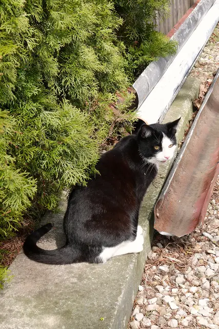 Unser Freund Ricky.