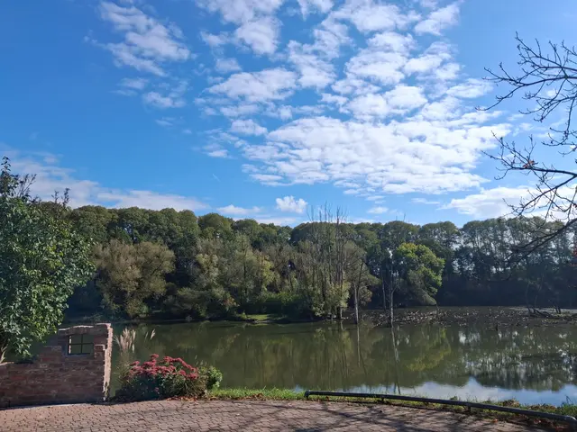 
das ehemalige Hafenbecken