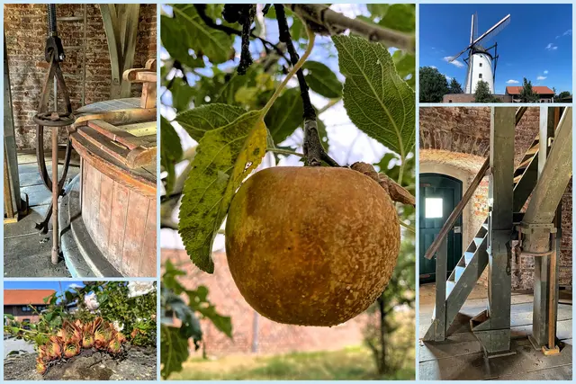 Die BraunsMühle im Herbst | Foto: copyright Margot Klütsch