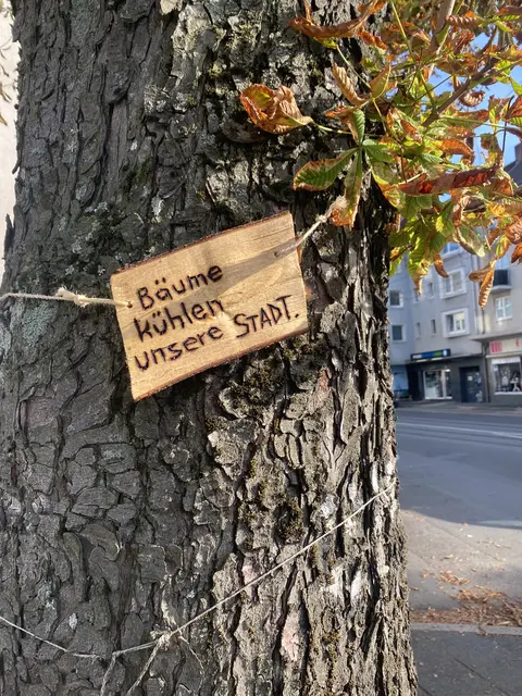 Botschaft der Bäume | Foto: umbehaue