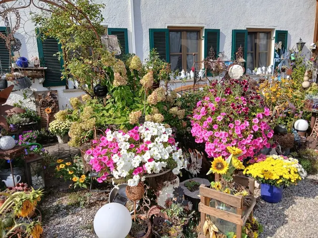 Auch in diesem Jahr wurde der Vorgarten auf dem landwirtschaftlichen Anwesen der Familie Deisenhofer in Herbertshofen traditionell und farbenfroh mit Feldfrüchten, Obst und Getreide dekoriert. | Foto: Peter Heider