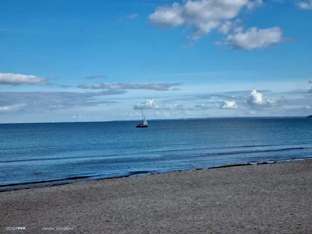 MEER♥