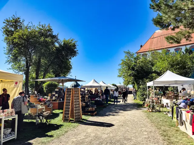 Foto: Olivia Käßmeier / Stadt Dillingen