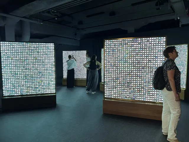Installation von Dias