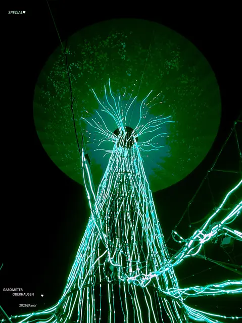 DER Baum

KÖNIG des Waldes!?!

das Leben... eines Baumes ♥