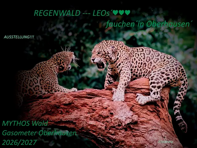 FAUCHEND´ !