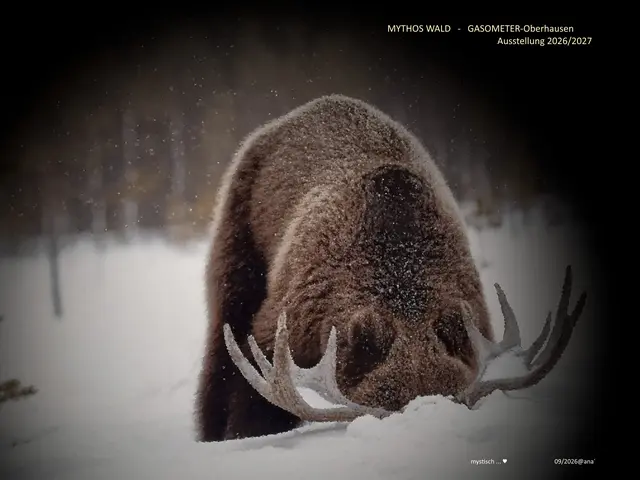 ein BÄR ...
und .... !!!


♥