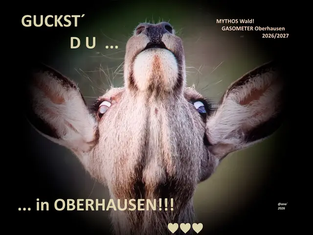 GUCKST DU ... !