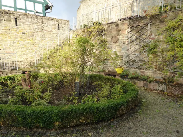 Rosengarten 2026-41, 11.10.2026.