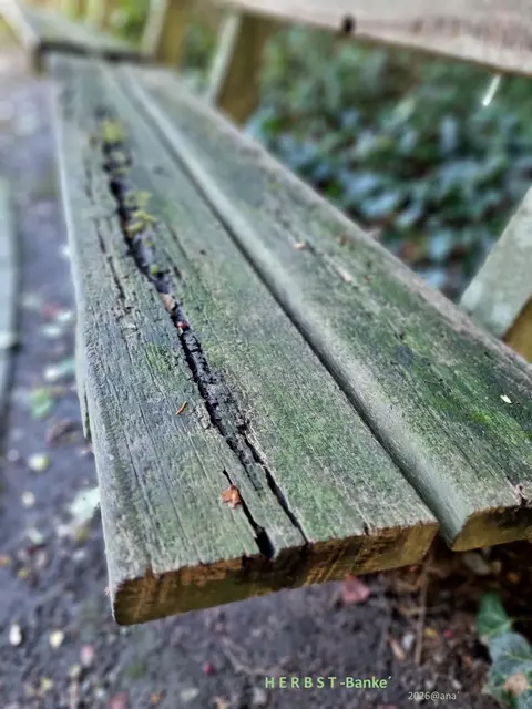anderSehen auch hier, im Herbst