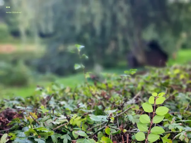 zart hinüber´ geblickt
anderSehen♥
