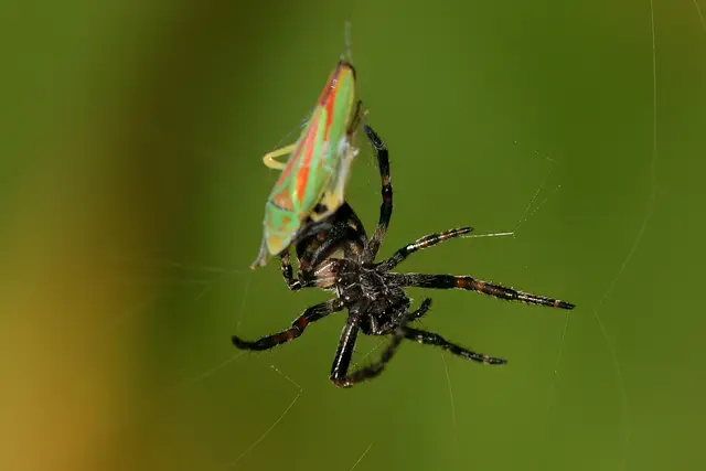 Foto: Copyright Andreas Schäfer
