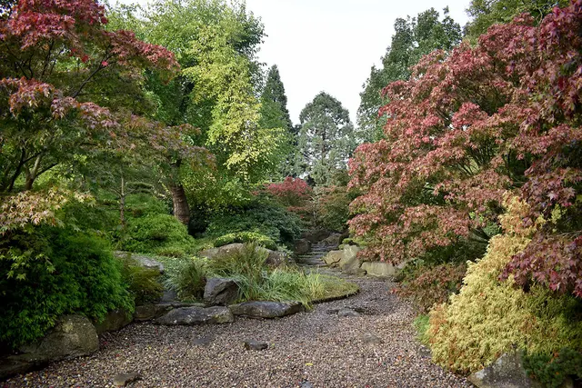 Im Park Planten un Blomen