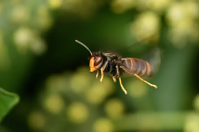 Foto: Copyright Andreas Schäfer