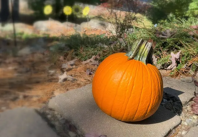 Noch genießt  er die Herbstsonne