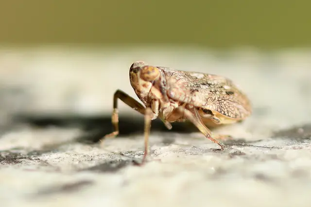 Foto: Copyright Andreas Schäfer