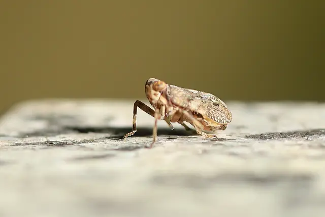 Foto: Copyright Andreas Schäfer