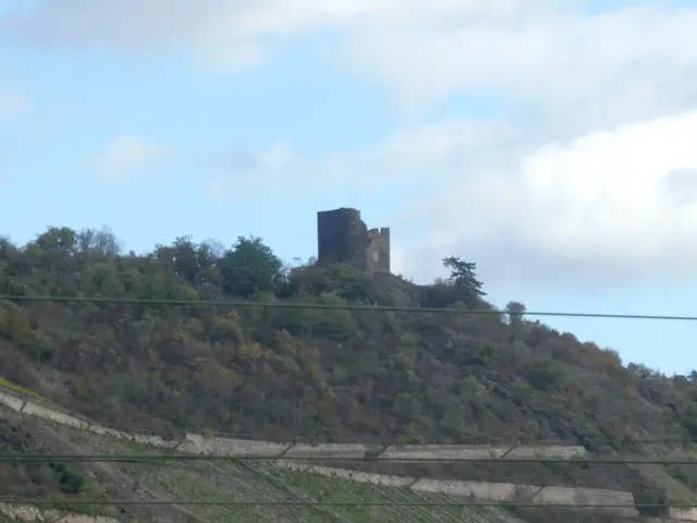 Burg Gutenfels