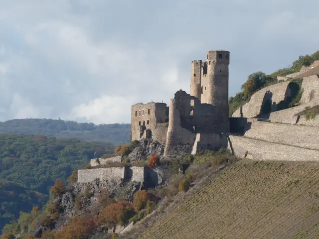 Burg Ehrenfels