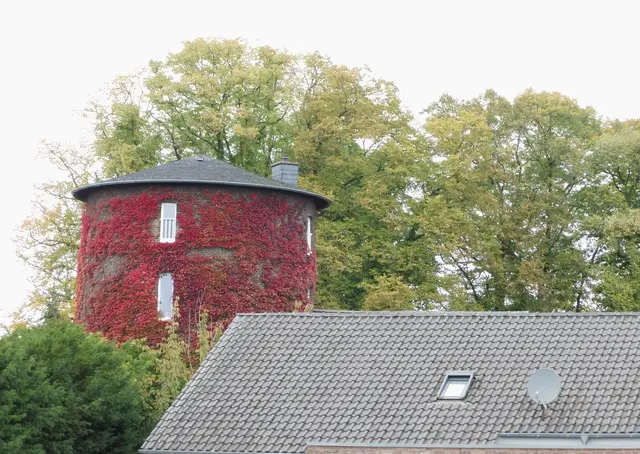 Historische Roßmühle in Hamminkeln | Foto: Siegmund Walter, 18.10.2026, 13:13 Uhr