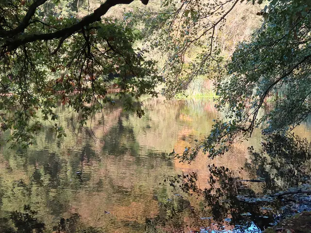 Herbststimmung Hammerteiche in Witten