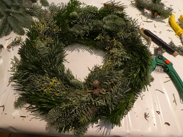 Zum Adventskranz-Binden lädt das BRK Stadtteilzentrum Haunstetten ein.  | Foto: Silke Sojka, BRK