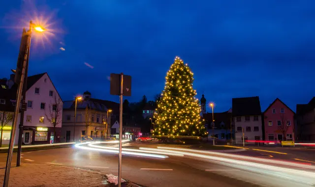 Die Stadt Dillingen sucht Weihnachtsbäume | Foto: Jan Koenen - Stadt Dillingen 