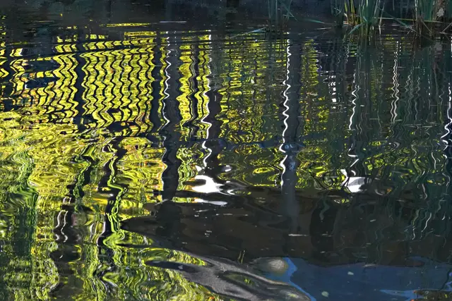 Wenn man diese mit dem Zoom nahe heranholt, ergeben sich fast surrealistische Impressionen