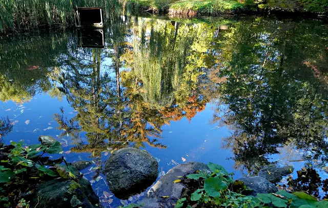 Auf der anderen Seite ergeben die Spiegelungen der Bäume einen ähnlichen Effekt