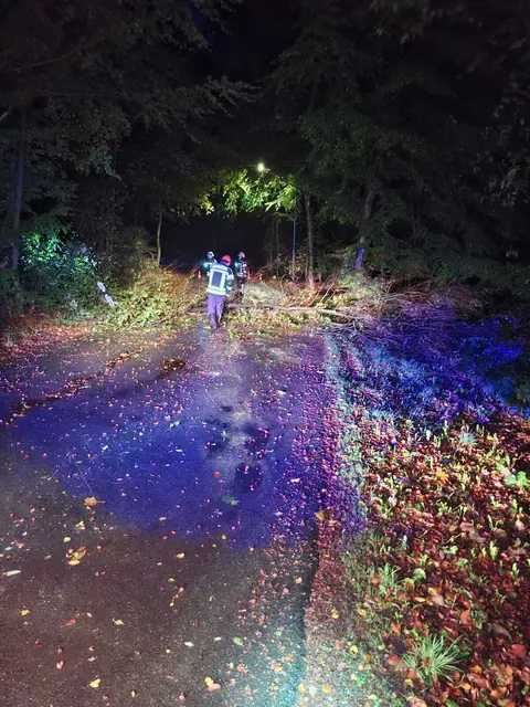 Herbststurm sorgt für mehrere Feuerwehreinsätze in Bedburg-Hau | Foto: Freiwillige Feuerwehr Bedburg-Hau