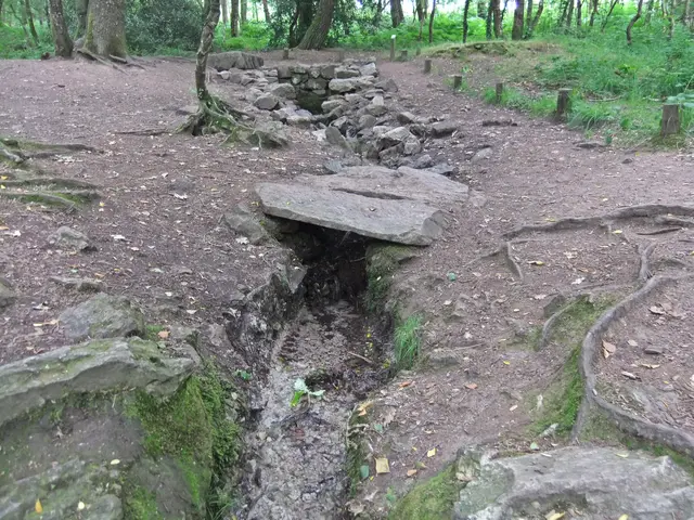 12 – Die Quelle von Barenton im Zauberwald | Foto: GvMeegen