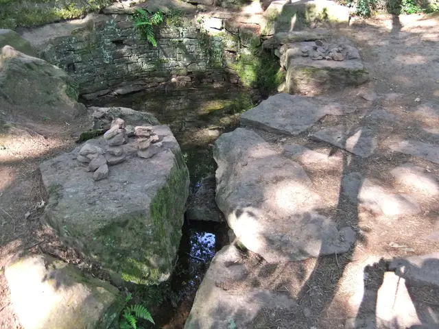 11 – Der Jungbrunnen (Fontaine de Jouvence) im Zauberwald | Foto: GvMeegen